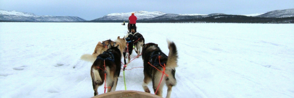 Sledding challenge for charity